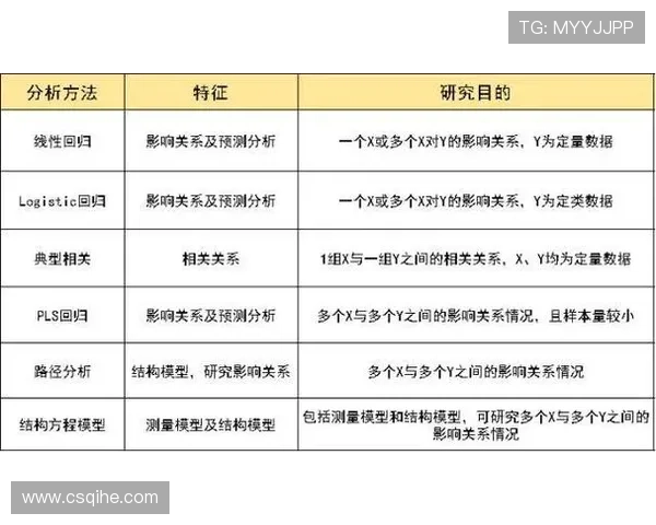 深入探讨北京排球队战术表现与数据分析的关系及其对比赛结果的影响 深入探讨北京排球队战术表现与数据分析的关系及其对比赛结果的影响