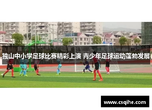 独山中小学足球比赛精彩上演 青少年足球运动蓬勃发展