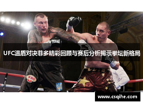 UFC温盾对决菲多精彩回顾与赛后分析揭示拳坛新格局
